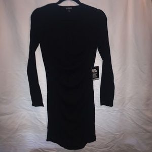 Express Sweater dress